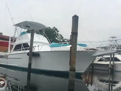 Striker 44