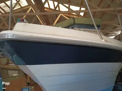 Penn Yan 26