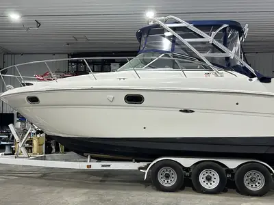 Sea Ray Amberjack 290