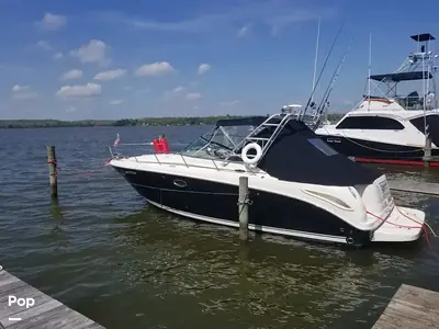 2007 Sea Ray Amberjack 290