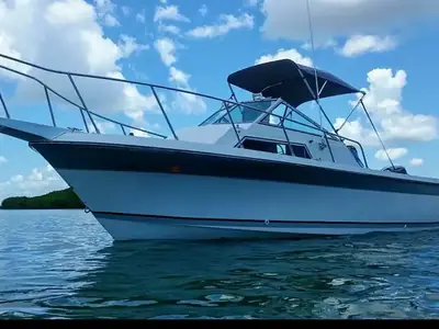 Wellcraft Corp SPORTSMAN 230
