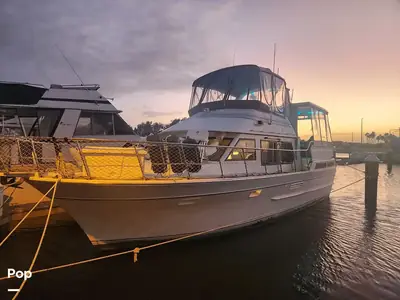 Vista 38
