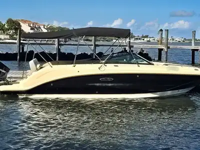 Sea Ray SDX 250