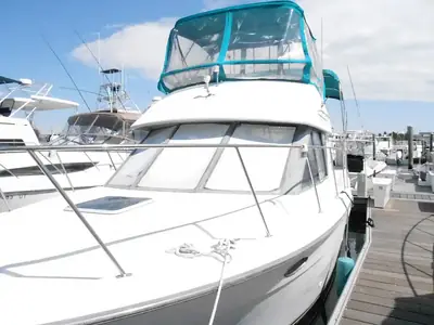 1995 Carver 325