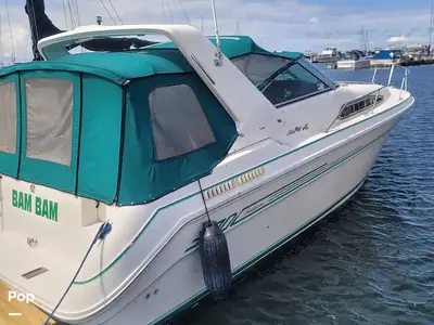 Sea Ray 300 Sundancer