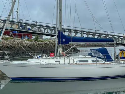 1990 Orion / Rustler Rustler 36