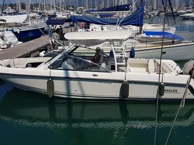 2015 Boston Whaler 270 Vantage