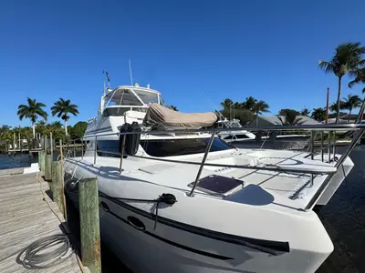 2007 African Cats 420 Powercat