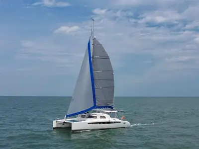 Dolphin 460