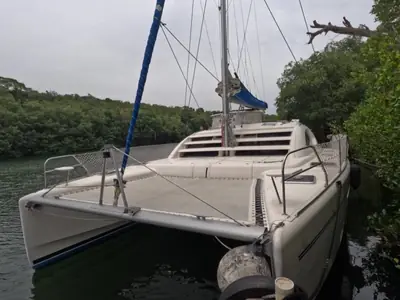2010 Leopard 46