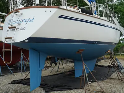 Morgan 43