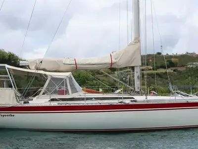 Oyster . 43