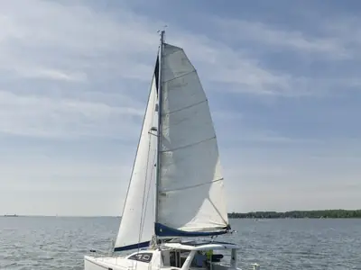 Leopard 43