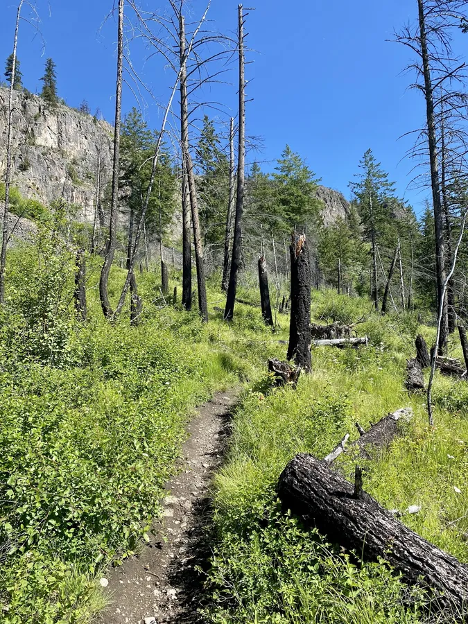 Rose Valley Regional Park
