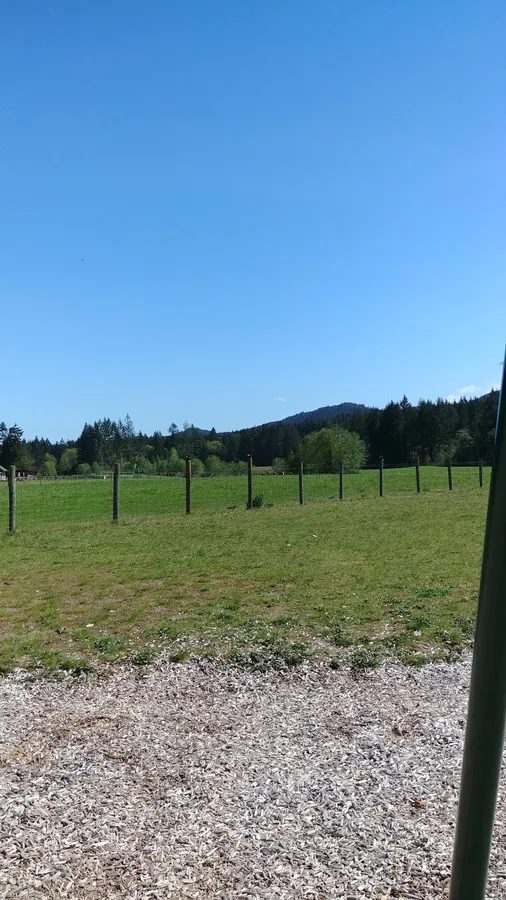 Meadow Drive Community Park