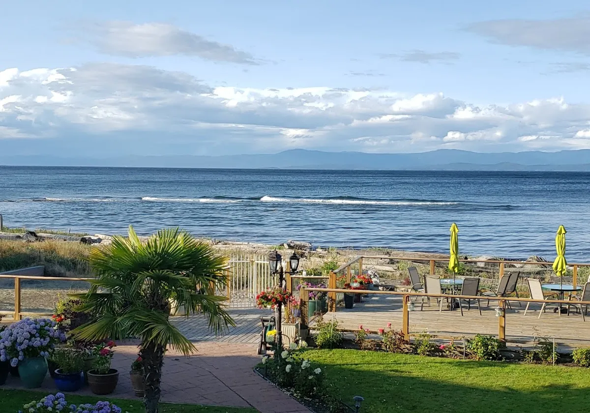 Buena Vista by the Sea