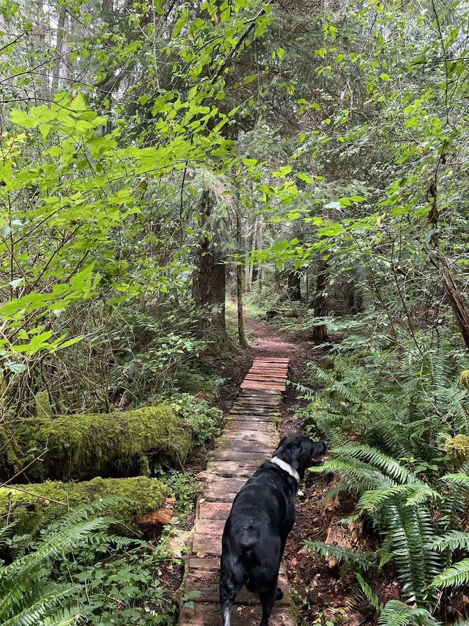 Qualicum Powerline Trails