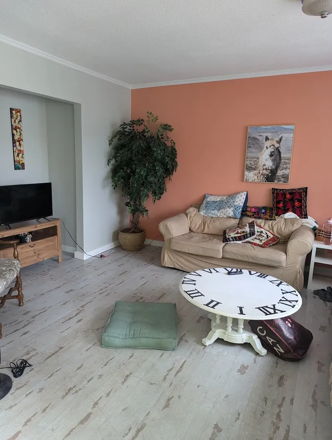 The Laughing Llama International Hostel