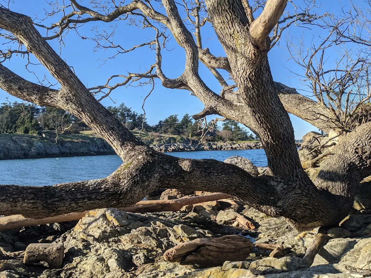 Telegraph Cove Beach Access