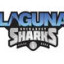 ABC LAGUNA BUCURESTI Team Logo