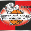 BA 2006 ROUDNICE Team Logo