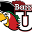 BARRY Team Logo