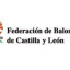 CASTILLA Y LEON Team Logo