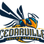 CEDARVILLE Team Logo