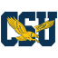 COPPIN STATE Team Logo