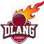 D LANG ACADEMY Team Logo