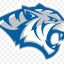 DAKOTA WESLEYAN Team Logo