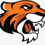 DOANE Team Logo