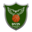 DVIN Team Logo