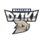 DZIKI WARSZAWA Team Logo