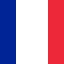 FRANCE Team Logo