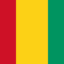 GUINEA Team Logo