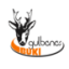 GULBENE Team Logo