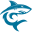 HAWAII PACIFIC Team Logo