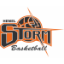 HEMEL STORM Team Logo