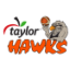 IMS PAYROLL HAWKS Team Logo