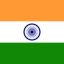 INDIA Team Logo