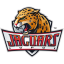 IUPUI Team Logo