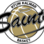 KALMAR SAINTS Team Logo