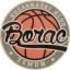 KK BORAC ZEMUN Team Logo