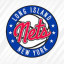 LONG ISLAND NETS Team Logo