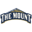 MOUNT ST.MARY'S Team Logo