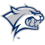 NEW HAMPSHIRE Team Logo