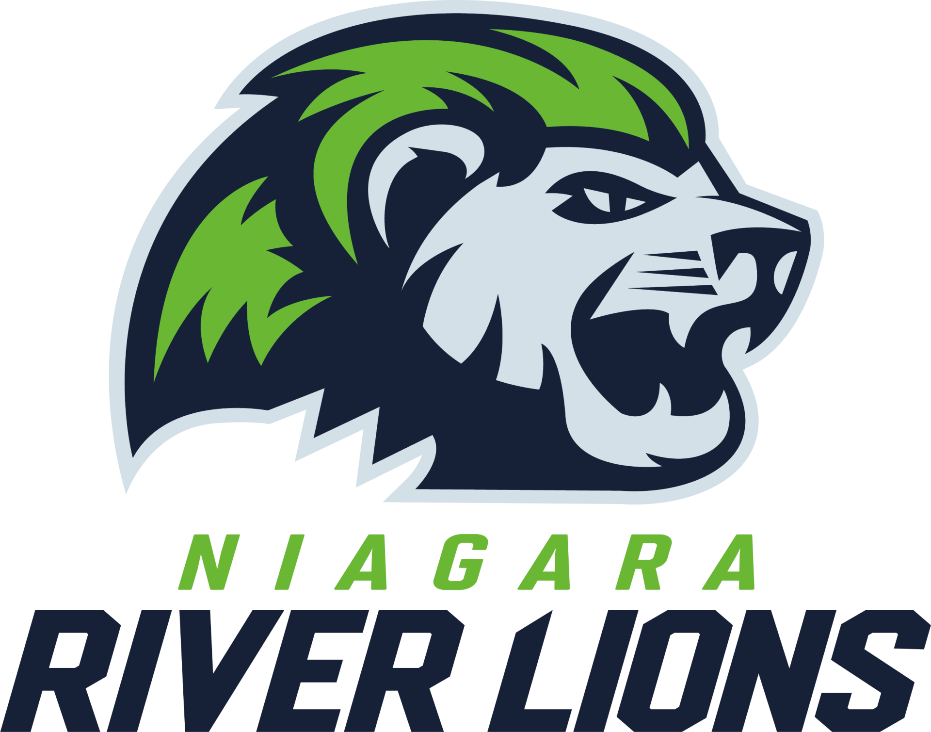 NIAGARA RIVER LIONS