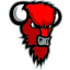 NILAN BISONS LOIMAA Team Logo