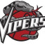 RIO GRANDE VALLEY VIPERS Team Logo